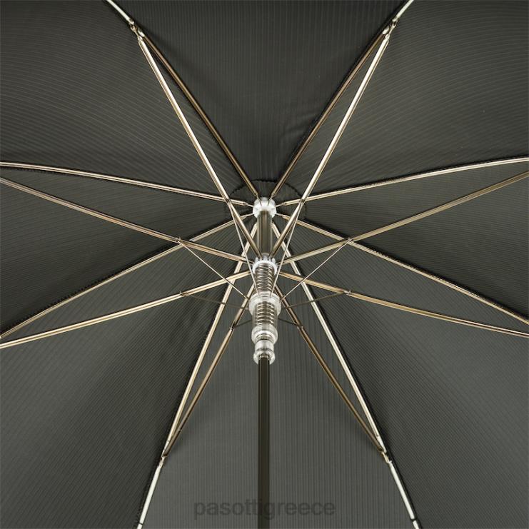 ομπρέλα | PASOTTI 478 6768-6 w37pv - πράσινη ομπρέλα ασημί λαβή λιονταριού 2N6B879 άνδρες